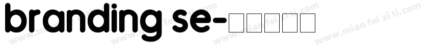 branding se字体转换